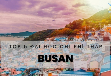 5 Trường chi phí thấp tại Busan bạn cần biết 2023