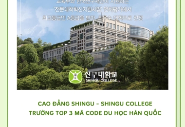 Cao Đẳng Shingu – Trường Top 3 Mã CODE Du Học Hàn Quốc