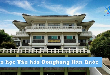 Cao học Văn hóa Dongbang Hàn Quốc TOP 1 về Văn hoá truyền thống và Liệu pháp thiên nhiên