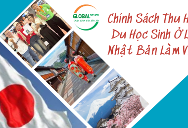 Chính Sách Thu Hút Du Học Sinh Ở Lại Nhật Bản Làm Việc