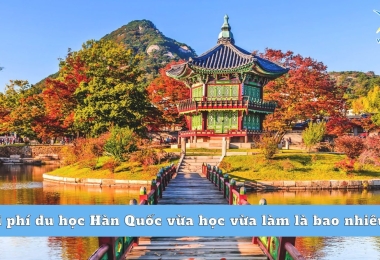 Chi phí du học Hàn Quốc vừa học vừa làm là bao nhiêu?