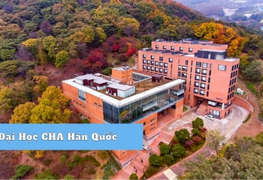 Đại Học CHA Hàn Quốc – Nơi Sản Sinh Bác Sĩ Hàng Đầu Hàn Quốc