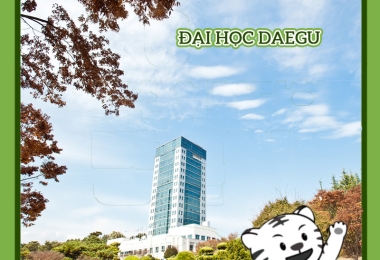 Đại Học Daegu – TOP 5 Trường Đại Học Lớn Nhất Hàn Quốc