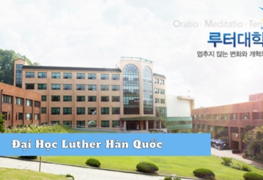 Đại Học Luther Hàn Quốc – TOP Đầu về Đào tạo Tâm lý học