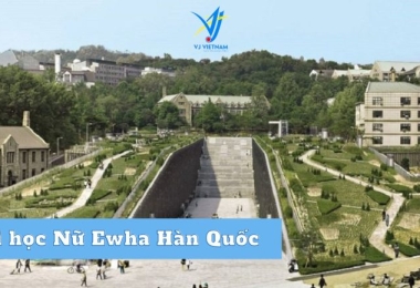 [MỚI NHẤT] 13 TRƯỜNG ĐẠI HỌC TOP 1 HÀN QUỐC ĐÁNG HỌC NHẤT 2023