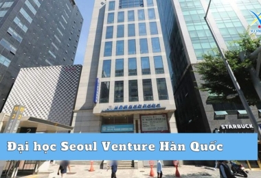 Đại học Seoul Venture Hàn Quốc – đại học hàng đầu Gangnam 