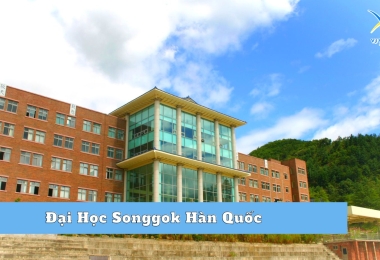 Đại Học Songgok Hàn Quốc – Đại học tư thục hàng đầu tại Gangwon