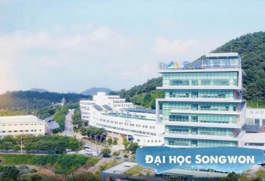 Đại Học Songwon