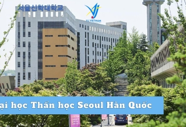 Đại học Thần học Seoul Hàn Quốc – Visa Thẳng Top 1 Gyeonggi