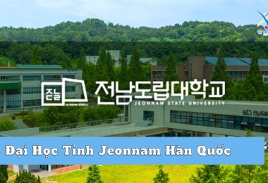 Đại học Tỉnh Jeonnam Hàn Quốc – Chất lượng hàng đầu khu vực Jeollanam