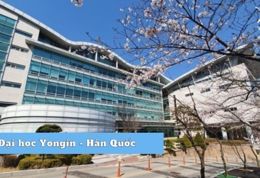 Đại học Yongin Hàn Quốc- trường TOP 3 mã code học phí rẻ nhất