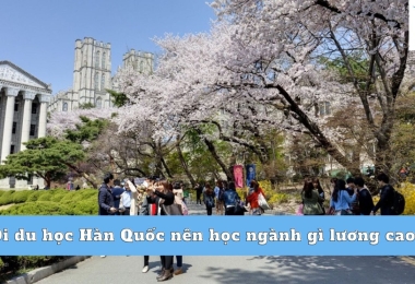 Đi du học Hàn Quốc nên học ngành gì lương cao?