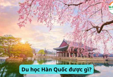 Du học Hàn được gì?