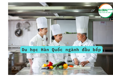 TOP trường ngành Đầu Bếp du học Hàn Quốc bạn nên biết
