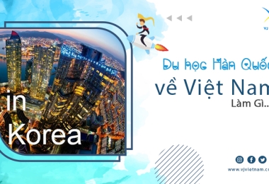 DHS Đi Du Học Hàn Quốc Về Việt Nam Làm Gì?