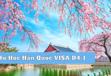 Du Học Hàn Quốc VISA D4-1 Có Đặc Quyền Gì Cho Du Học Sinh?