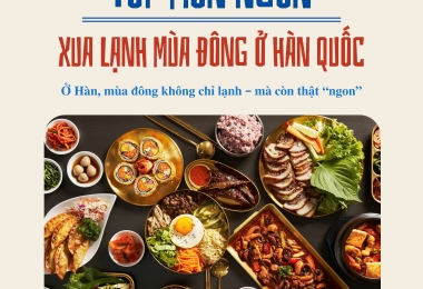 ❄️ Trải Nghiệm Ẩm Thực Mùa Đông Hàn Quốc Cùng Global – VJ Vietnam✨