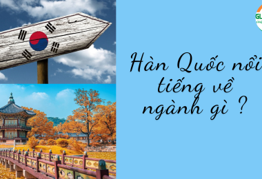 Hàn Quốc nổi tiếng về ngành gì?