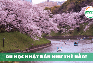 Du học Nhật Bản như thế nào? – Cập nhật 2023