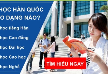 Bạn sẽ đi du học Hàn Quốc theo dạng nào phù hợp điều kiện tuyển sinh?