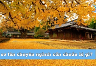 Hồ sơ lên chuyên ngành cần chuẩn bị gì?