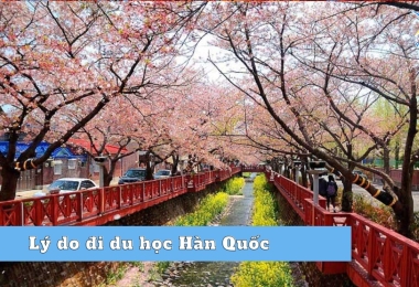 LÝ DO ĐI DU HỌC HÀN QUỐC 2023