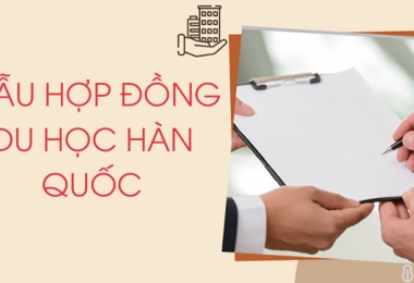 Mẫu Hợp Đồng Du Học Hàn Quốc – Những Thông Tin Không Thể Bỏ Qua