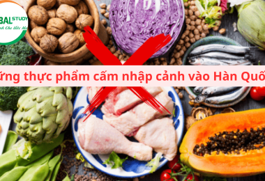 Các loại thực phẩm cấm khi nhập cảnh Hàn Quốc?