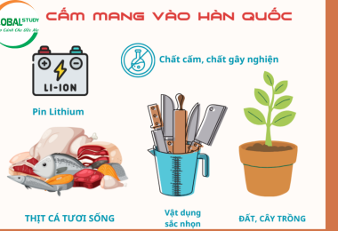 Những thứ bị cấm mang vào Hàn Quốc bao gồm những gì?