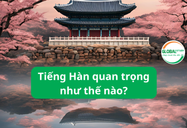 Tiếng Hàn quan trọng như thế nào? Lợi ích và cơ hội phát triển