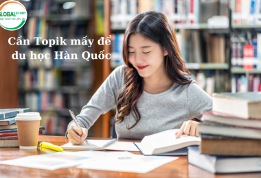 Cần Topik mấy để đi du học Hàn Quốc? Giải đáp chi tiết cho du học sinh