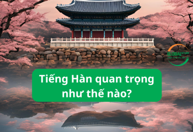 Tiếng Hàn quan trọng như thế nào? Lợi ích và cơ hội phát triển