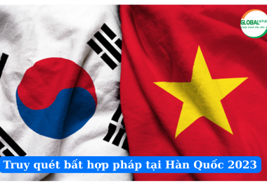 Truy quét bất hợp pháp tại Hàn Quốc 2023