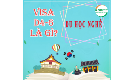 Sự thật về Visa D4-6 du học Hàn Quốc bạn cần biết