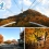Top 4 địa điểm du lịch thiên nhiên tại Hàn Quốc
