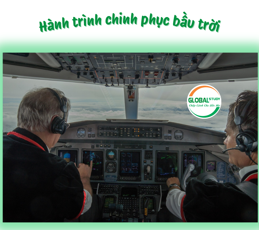 Trở Thành Phi Công Chuyên Nghiệp: Hành Trình Đào Tạo Và Cơ Hội Nghề ...