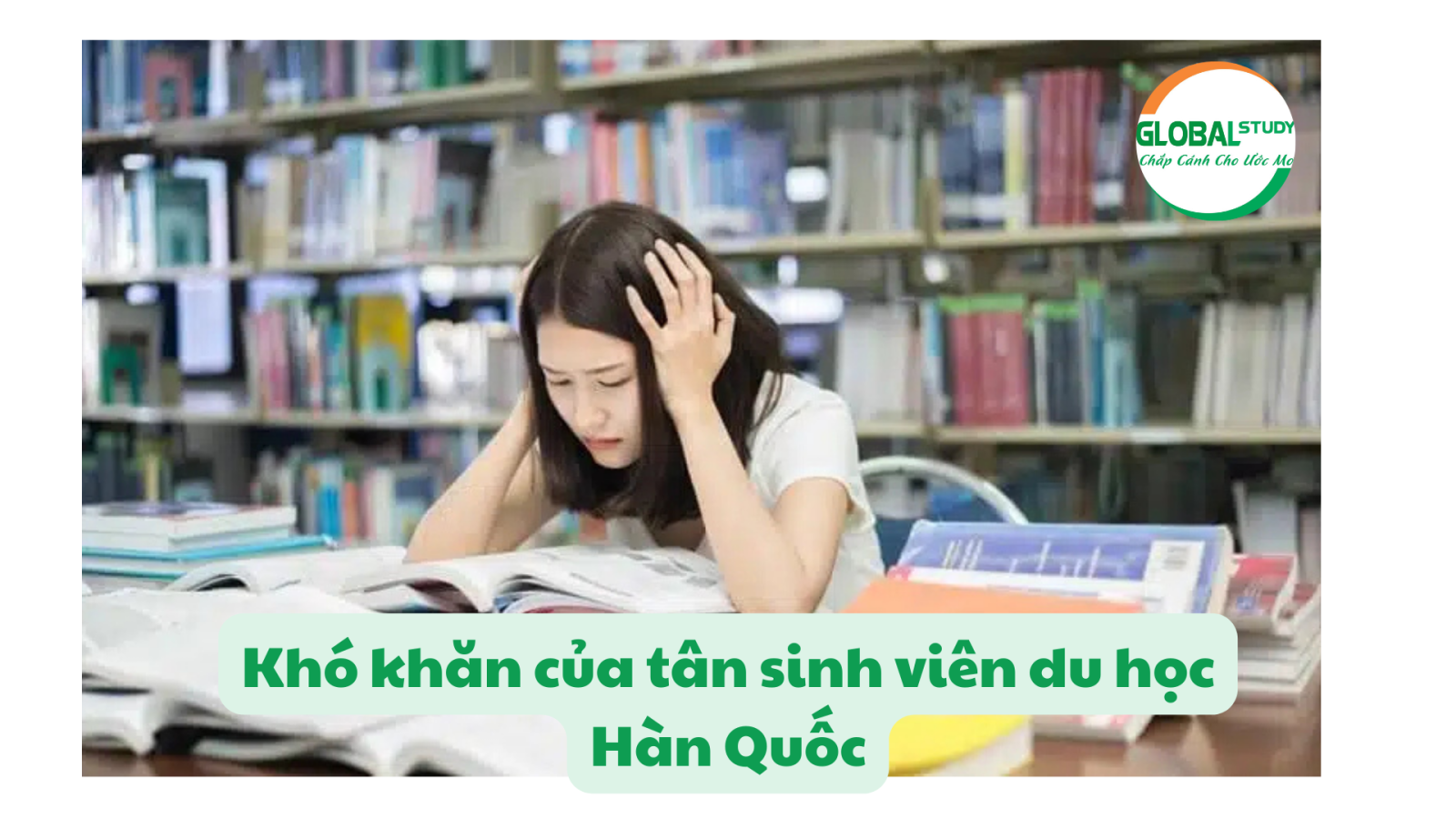 Khó khăn của tân sinh viên du học Hàn Quốc