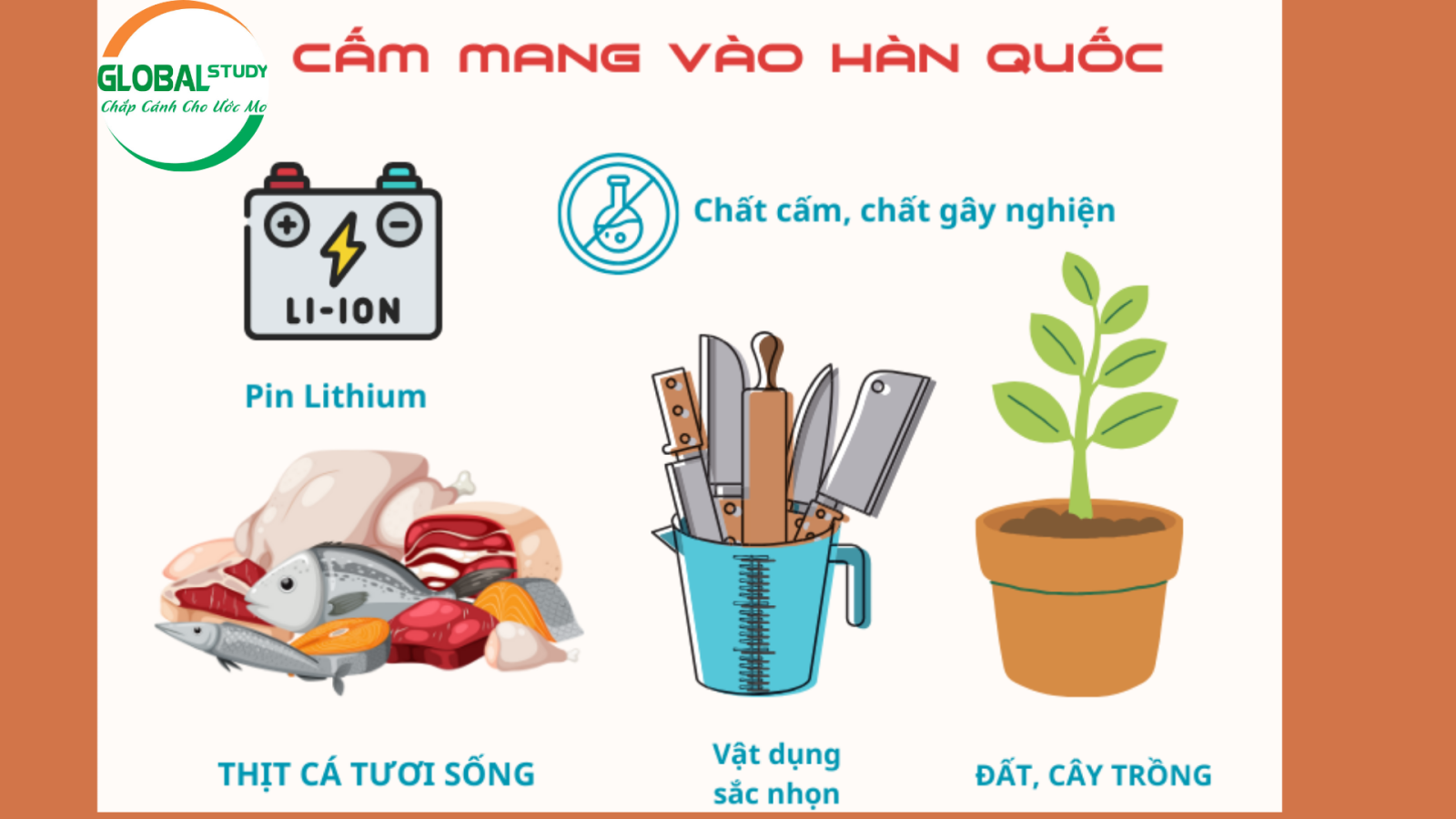 Những thứ bị cấm mang vào Hàn Quốc