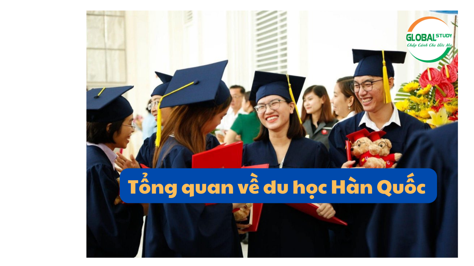 Tổng quan du về học Hàn Quốc