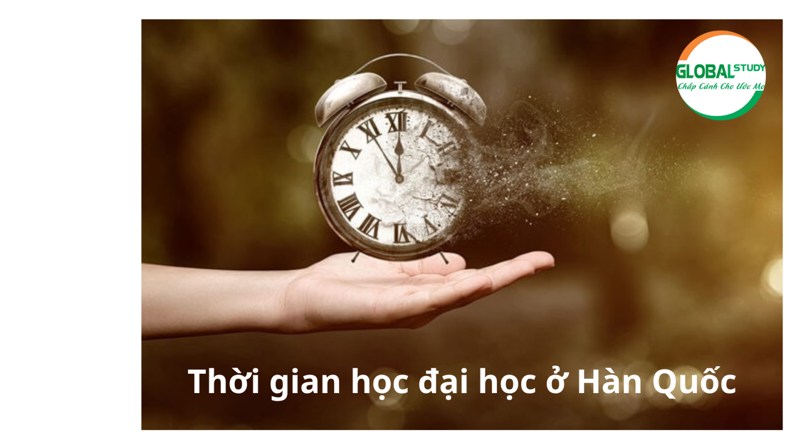 Thời gian học đại học ở HQ