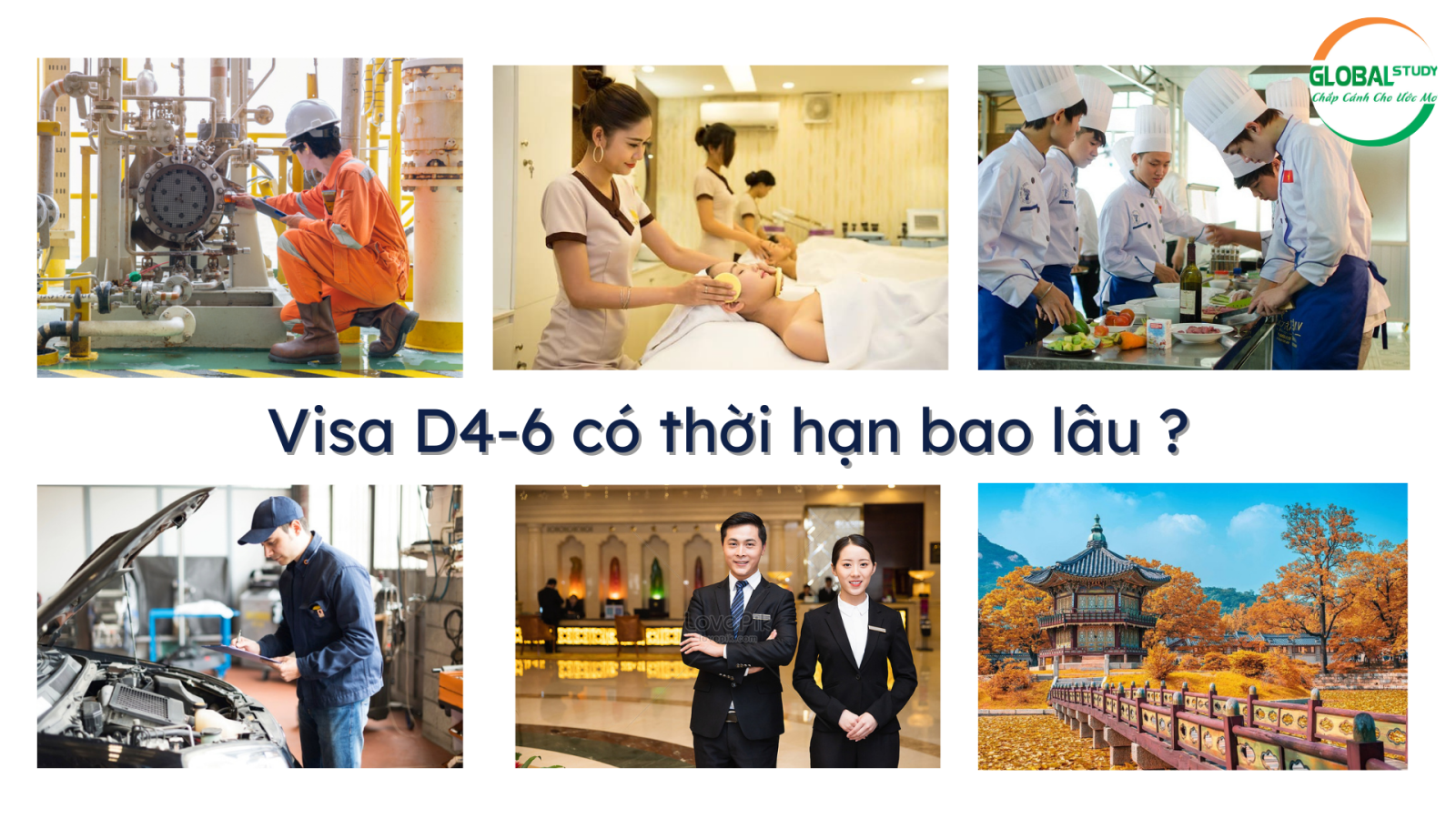 Visa D4-6 có thời hạn bao lâu?