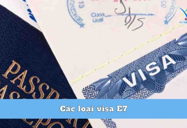 Các loại visa E7 và 86 mã ngành bạn cần biết
