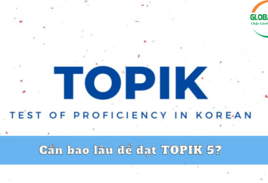 Cần Bao Lâu Để Đạt TOPIK 5? Bí Kíp Đạt TOPIK 5 Trong 8 Tháng