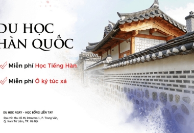 Kinh Nghiệm Chọn Đúng Công Ty Tư Vấn Du Học Hàn Quốc Uy Tín