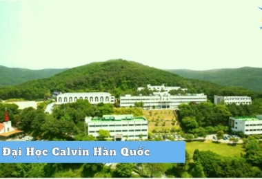 Đại học Calvin Hàn Quốc – Đại học hàng đầu về ngành Khoa học và Nhân văn 