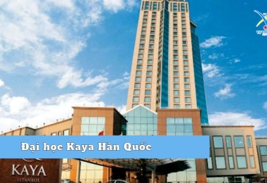 Đại học Kaya Hàn Quốc – Trường uy tín, chất lượng