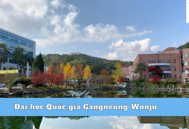 Đại Học Quốc Gia Gangneung-Wonju Hàn Quốc – Đại Học Nghiên Cứu Tầm Cỡ Gần Seoul