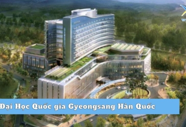 Đại Học Quốc gia Gyeongsang Hàn Quốc –  Nơi khởi điểm cho nền công nghiệp Hàn Quốc