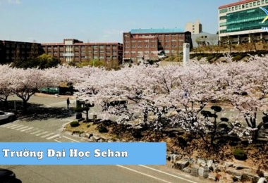 Giới thiệu trường Đại Học Sehan 