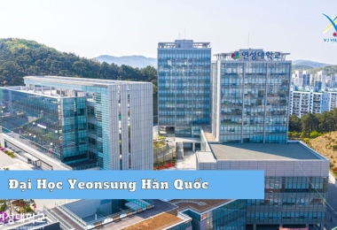 Đại Học Yeonsung Hàn Quốc – Đại học tổng hợp uy tín hàng đầu Anyang
